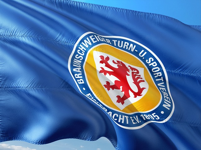 会进行详细 会进行详细