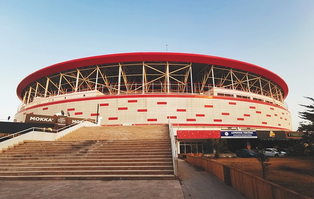 他迅速成长 他迅速成长