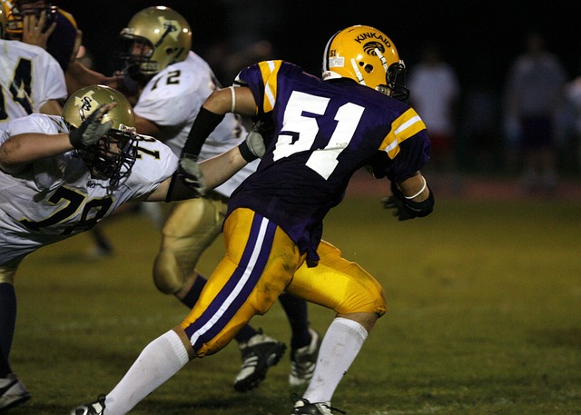 的无与伦比 的无与伦比