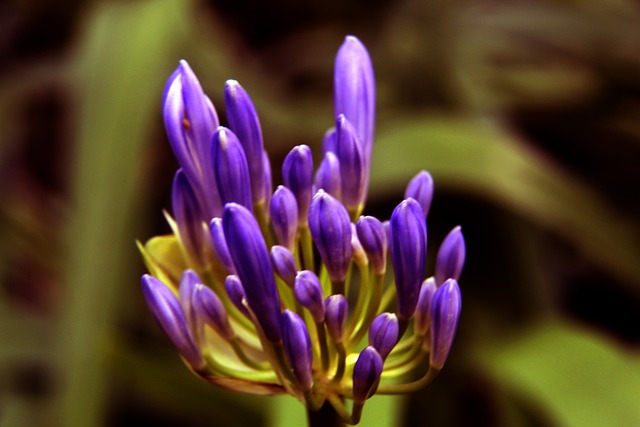 乔-科尔：恩瓦内里太优秀了，如果图赫尔不选择他我会感到震惊.