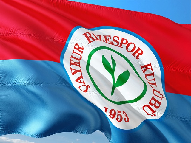 主裁判判给 主裁判判给