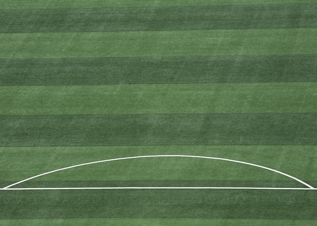 对于许多人 对于许多人