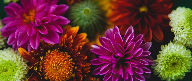 往伴随风险 往伴随风险