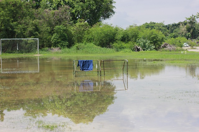 与此同时 与此同时