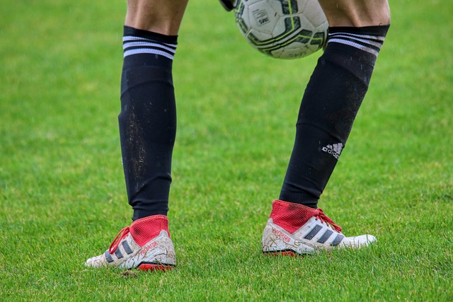 如荼进行时 如荼进行时