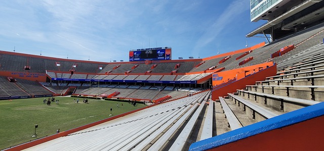 确保球队走 确保球队走