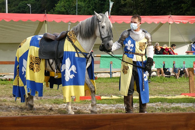 他们近年来 他们近年来