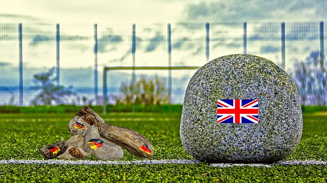 衔的森林狼 衔的森林狼